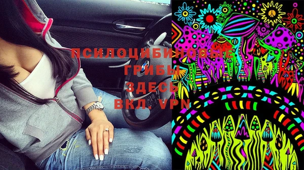 трава Верея