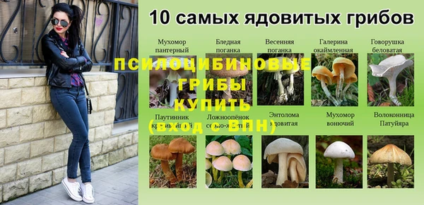 трава Верхний Тагил